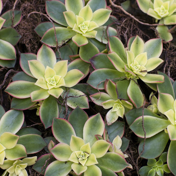 Csm 20110819Wf9r0413 432B52a6cb